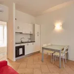 Rent 1 bedroom apartment in milan