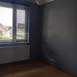 Rent 1 bedroom apartment in Leuven