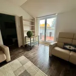 Rent 2 bedroom apartment of 50 m² in Vienna