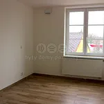 Pronájem bytu 1+1 54m²