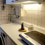 Rent 1 bedroom apartment in milan