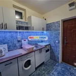 Rent 1 bedroom house of 22 m² in Videle