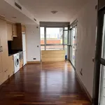 Rent 1 bedroom apartment of 47 m² in Madrid