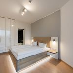 Rent 2 bedroom apartment of 96 m² in Dresden