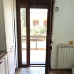 Rent 2 bedroom apartment of 60 m² in Roma