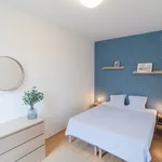 Rent 1 bedroom apartment of 43 m² in Brno