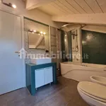 Rent 3 bedroom apartment of 100 m² in Turin