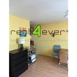 Rent 1 bedroom apartment of 35 m² in Capital City of Prague