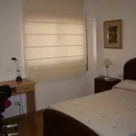 Rent a room in Valencia']