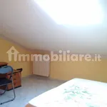 Affitto 3 camera appartamento di 65 m² in Catanzaro