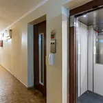 Rent 3 bedroom apartment of 31 m² in Portimão