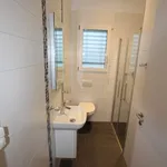 Rent 4 bedroom apartment of 110 m² in  Schweiz