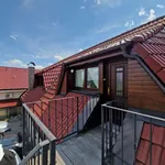 Pronájem nadstandartního bytu 4+kk 163,5 m2 se 3 parkovacími místy v Miřeticích