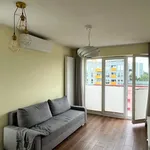 Rent 2 bedroom apartment of 40 m² in Gliwice