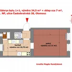 Rent 1 bedroom apartment of 42 m² in Olomouc