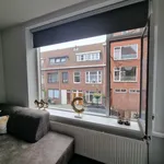 Rent 3 bedroom apartment of 61 m² in Vettenoordse Polder Oost