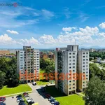 Rent 1 bedroom apartment of 28 m² in Ostrava