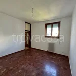 Rent 3 bedroom apartment of 80 m² in Cavallino