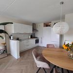 Rent 3 bedroom apartment of 66 m² in De Laar-Oost