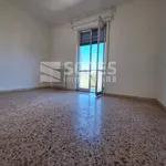 Rent 5 bedroom apartment of 110 m² in Montevarchi