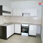 Rent 1 bedroom apartment of 54 m² in Plzeň