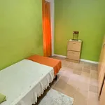 Rent a room in alicante