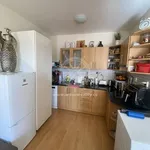 Rent 1 bedroom apartment of 40 m² in Brno