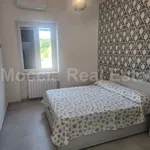 Rent 2 bedroom apartment of 50 m² in Caserta