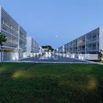 Rent 4 bedroom apartment of 75 m² in Jesolo