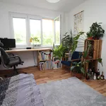 Pronajměte si 2 ložnic/e byt o rozloze 56 m² v Prague