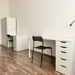 Rent 1 bedroom apartment in Brno