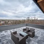 Pronajměte si 1 ložnic/e dům o rozloze 764 m² v Heršpice