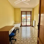 Rent 5 bedroom apartment of 120 m² in Campobasso