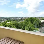 Rent 1 bedroom apartment in Rushcutters Bay