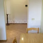 Rent 4 bedroom apartment of 90 m² in Bologna