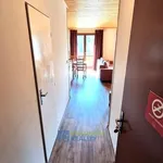 Rent 1 bedroom apartment in Harrachov