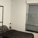 Rent a room of 80 m² in madrid