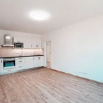 Pronajměte si 2 ložnic/e byt o rozloze 48 m² v Jindřichův Hradec