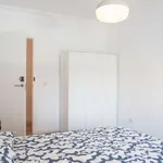 Rent a room in madrid