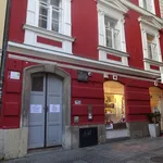 Rent 2 bedroom apartment of 59 m² in Graz