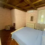 Rent 1 bedroom apartment of 20 m² in Roma