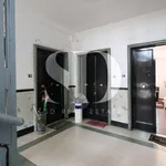 Rent 3 bedroom apartment of 77 m² in Roma