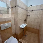 Rent 1 bedroom apartment in Znojmo