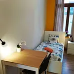 Rent a room in brussels