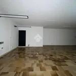 Rent 1 bedroom apartment of 70 m² in Tivoli