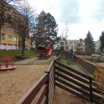 Rent 1 bedroom apartment in Chrudim