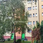 Rent 3 bedroom apartment of 70 m² in Wrocław