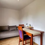 Rent 3 bedroom apartment of 45 m² in Jelenia Góra