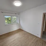 Pronajměte si 5 ložnic/e byt o rozloze 145 m² v Prague