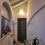 Rent 1 bedroom apartment of 45 m² in Piacenza